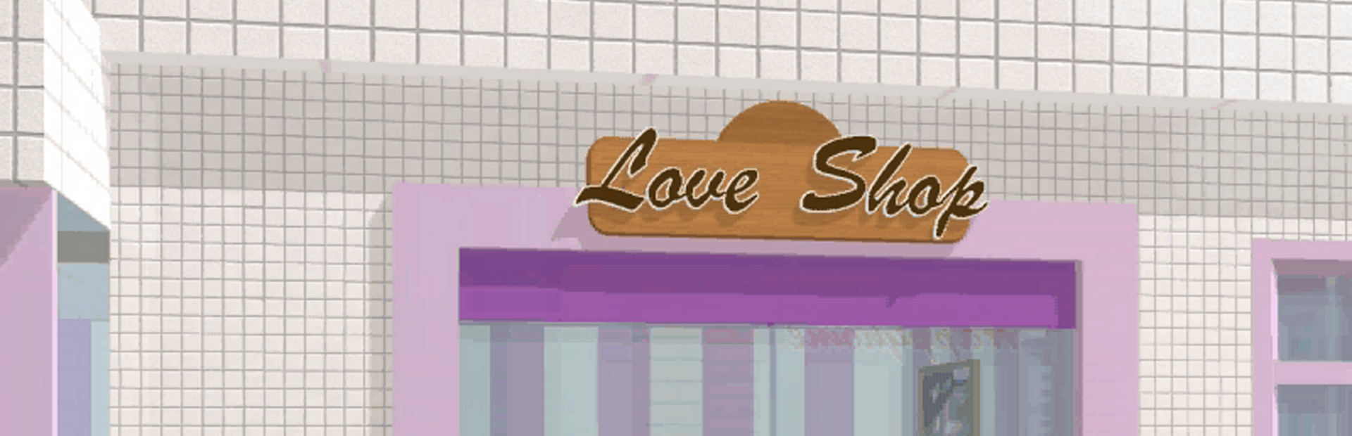 Adult Toy Store cover art