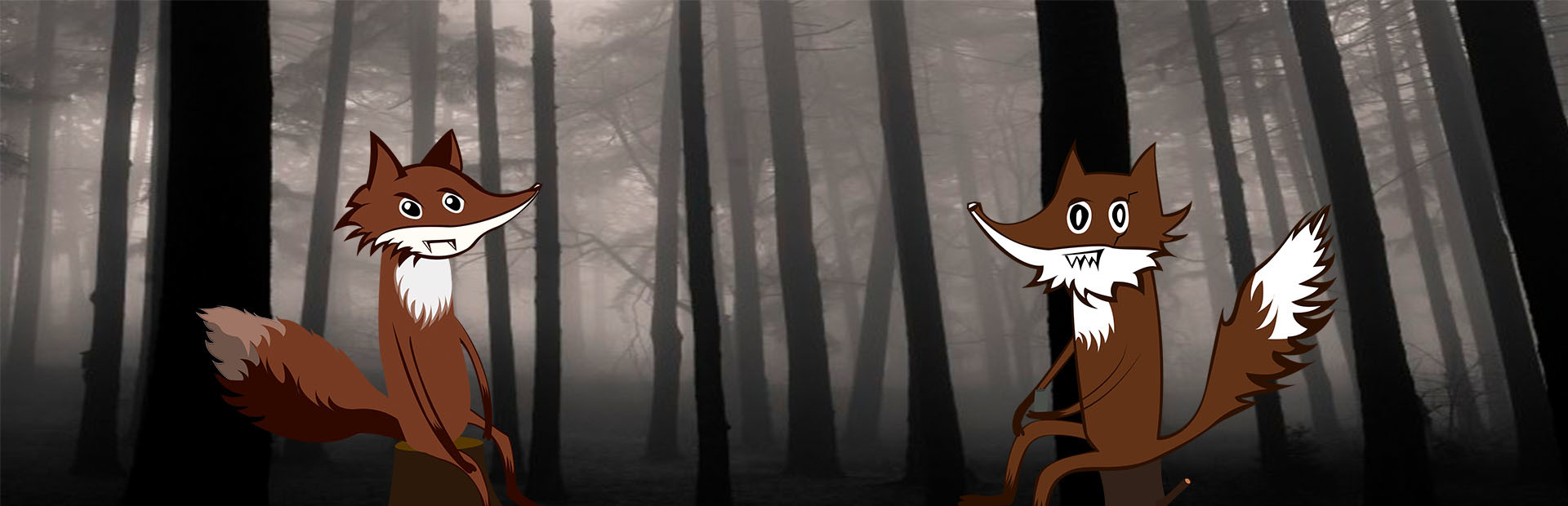 Adventures Of Two Foxes cover art
