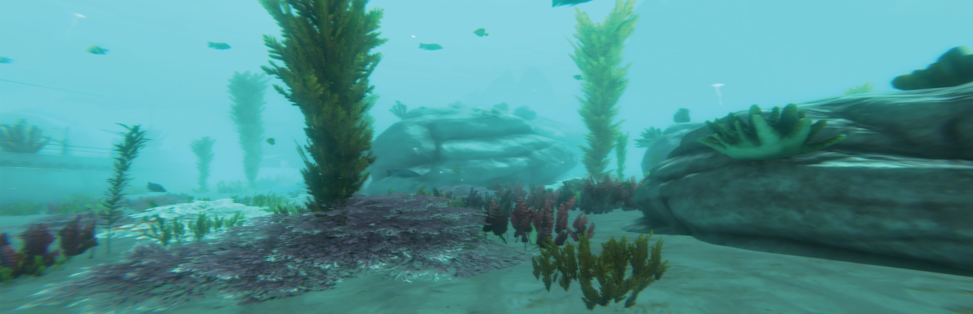 Alpha Shark cover art