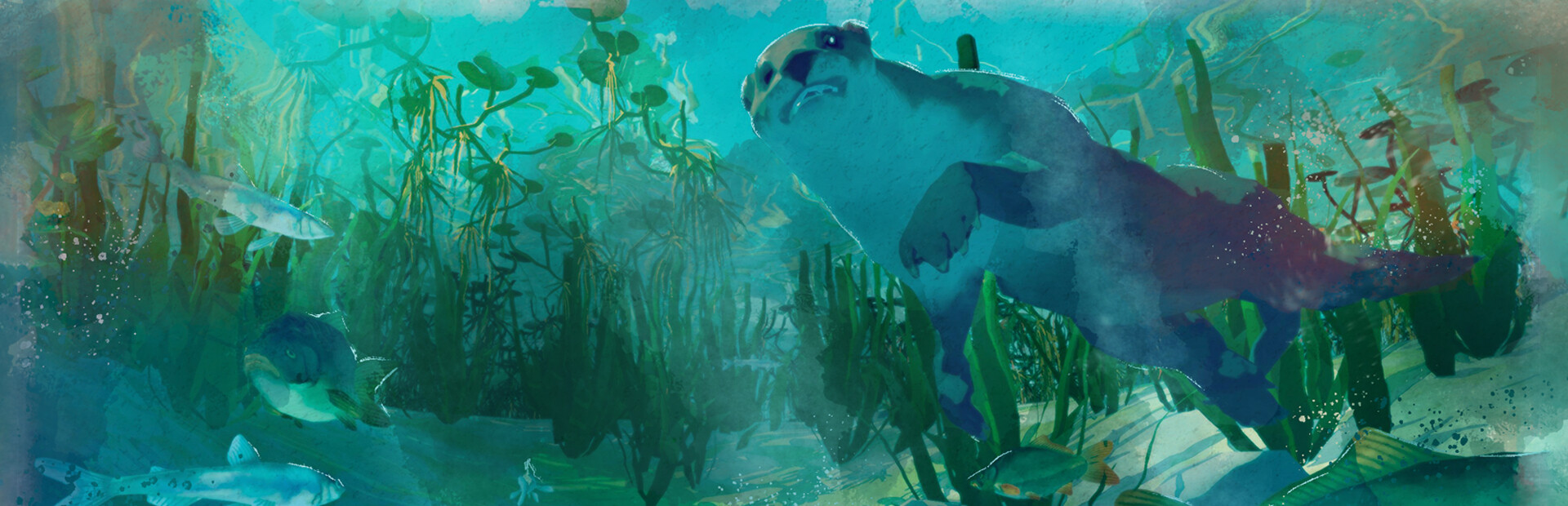 Among Ripples: Shallow Waters cover art
