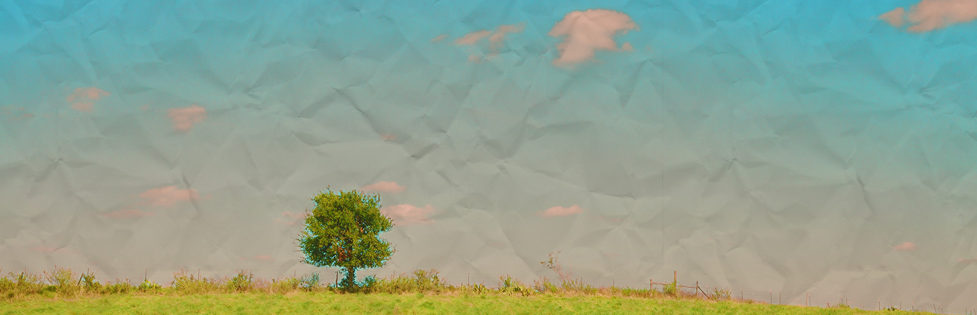 Anemoiapolis cover art