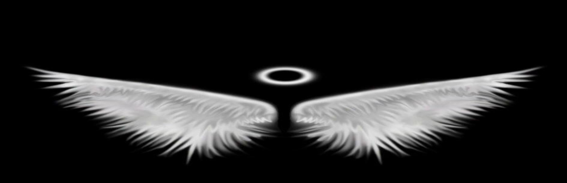 Angel Made cover art