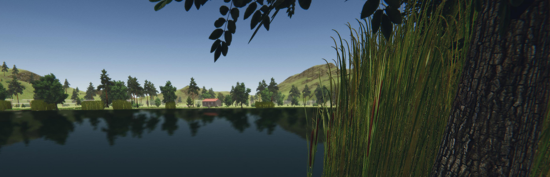 Angler's Life cover art