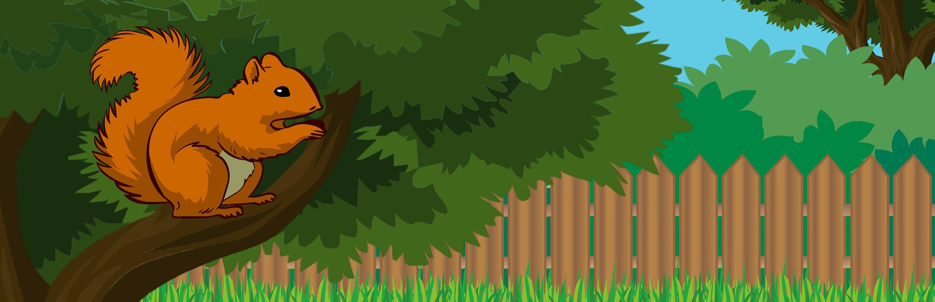 Angry Squirrel cover art