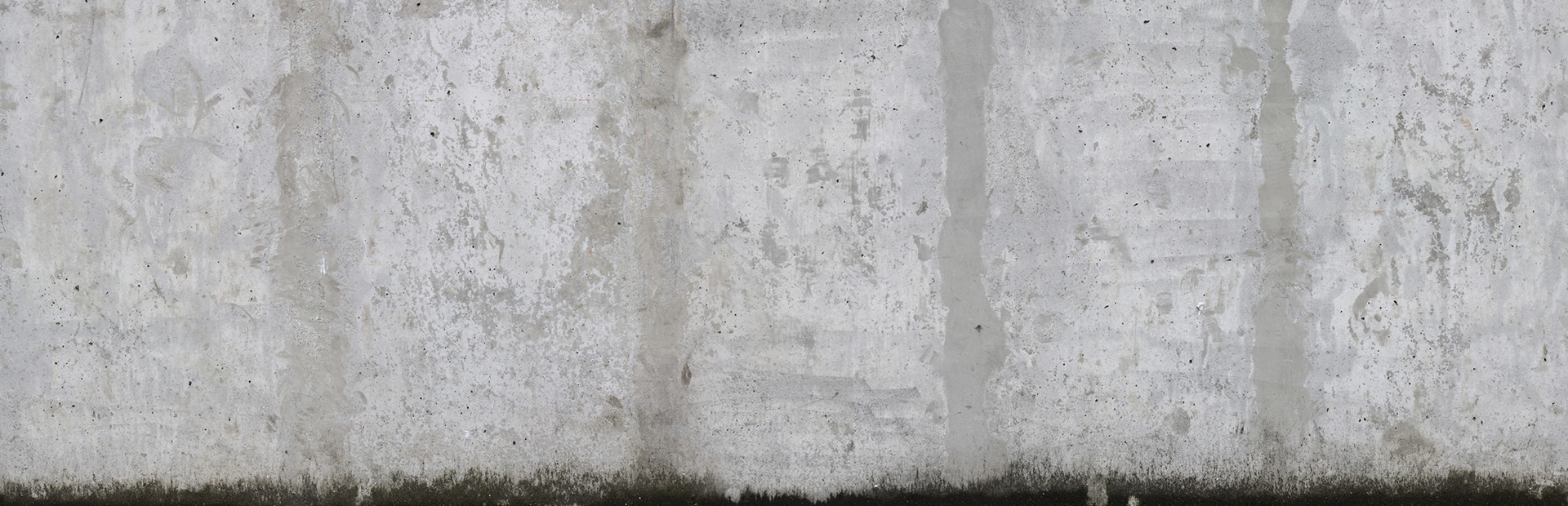 Animal Shelter: Prologue cover art