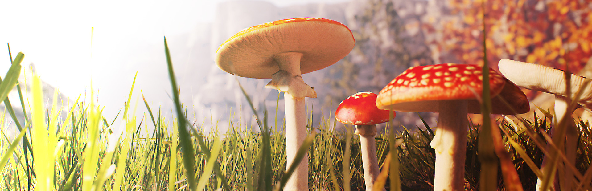 AppGameKit Studio cover art