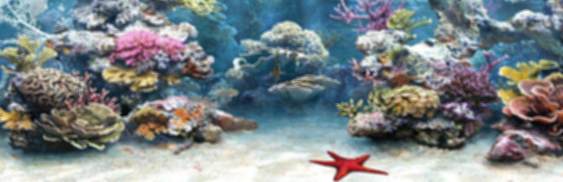 Aquarium Life cover art