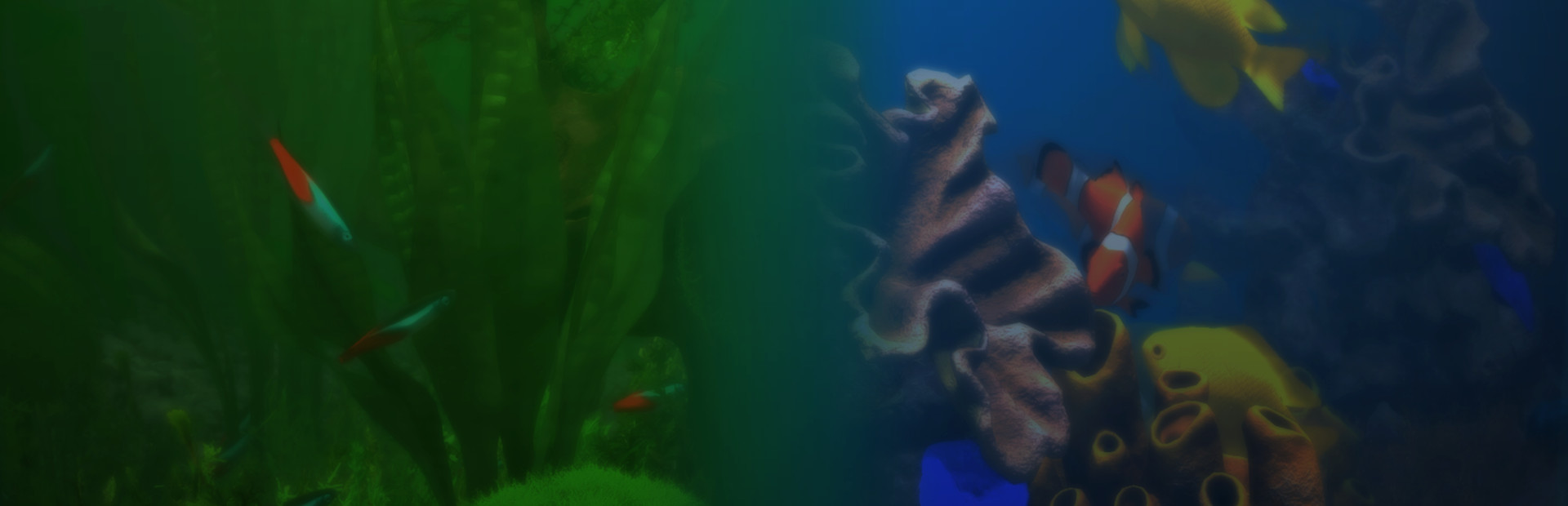 Aquarium Simulator cover art