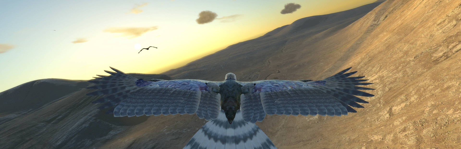 Aquila Bird Flight Simulator cover art