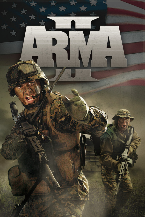 Arma 2 cover art