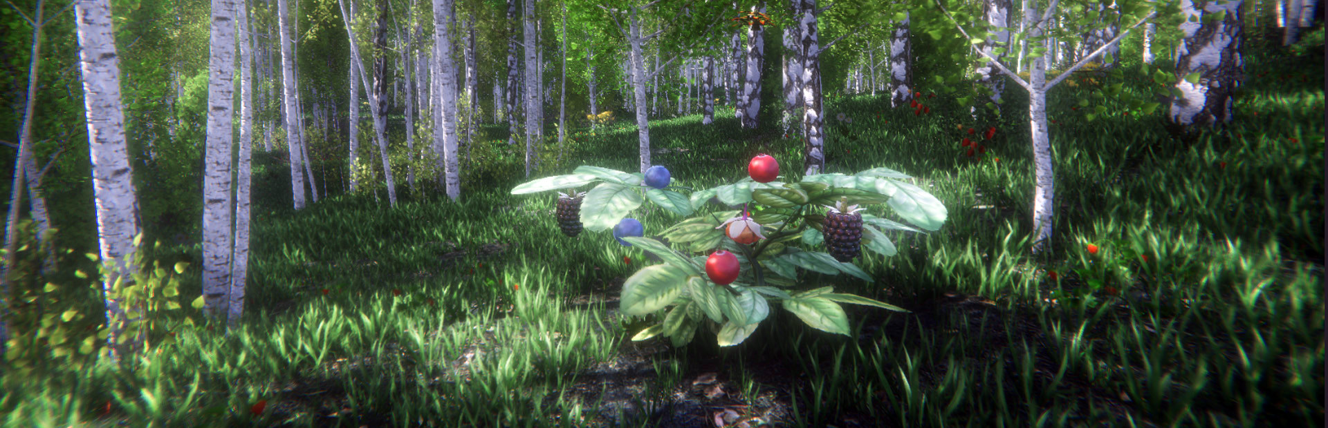 Berries Challenge cover art