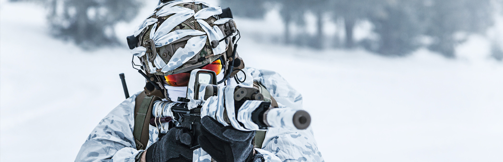 Beyond Enemy Lines: Operation Arctic Hawk cover art