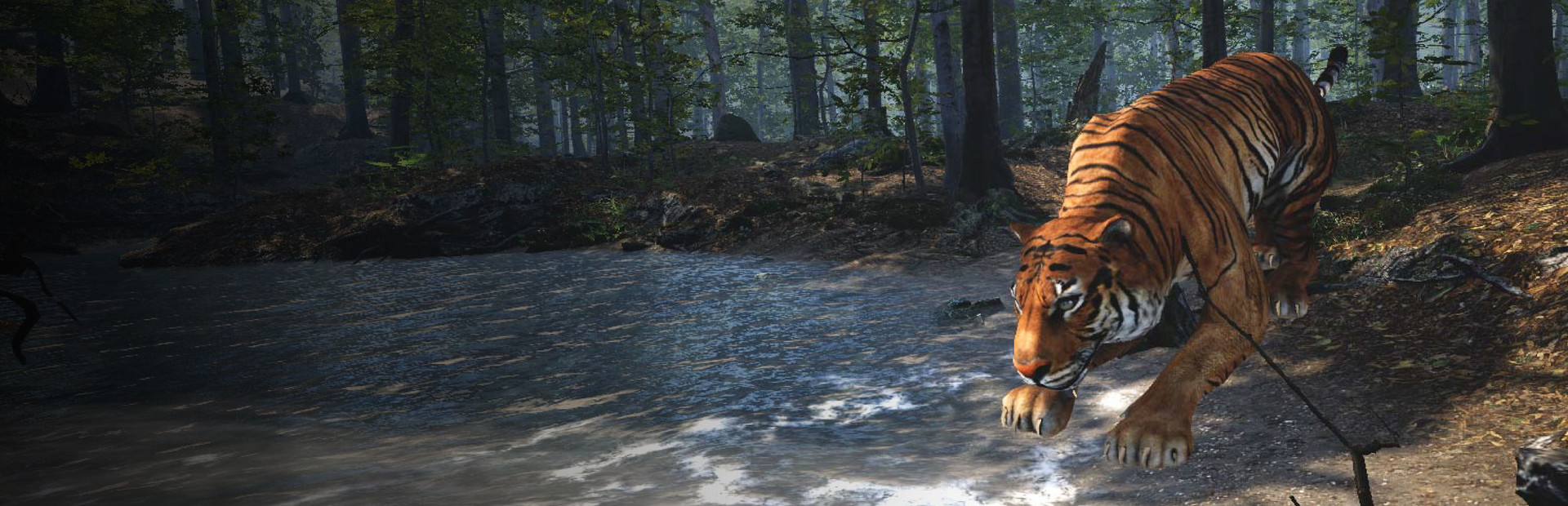 Big Cat Rescue cover art