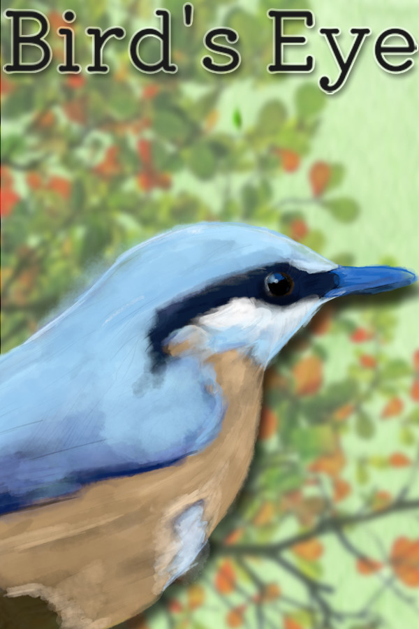 Bird's Eye
