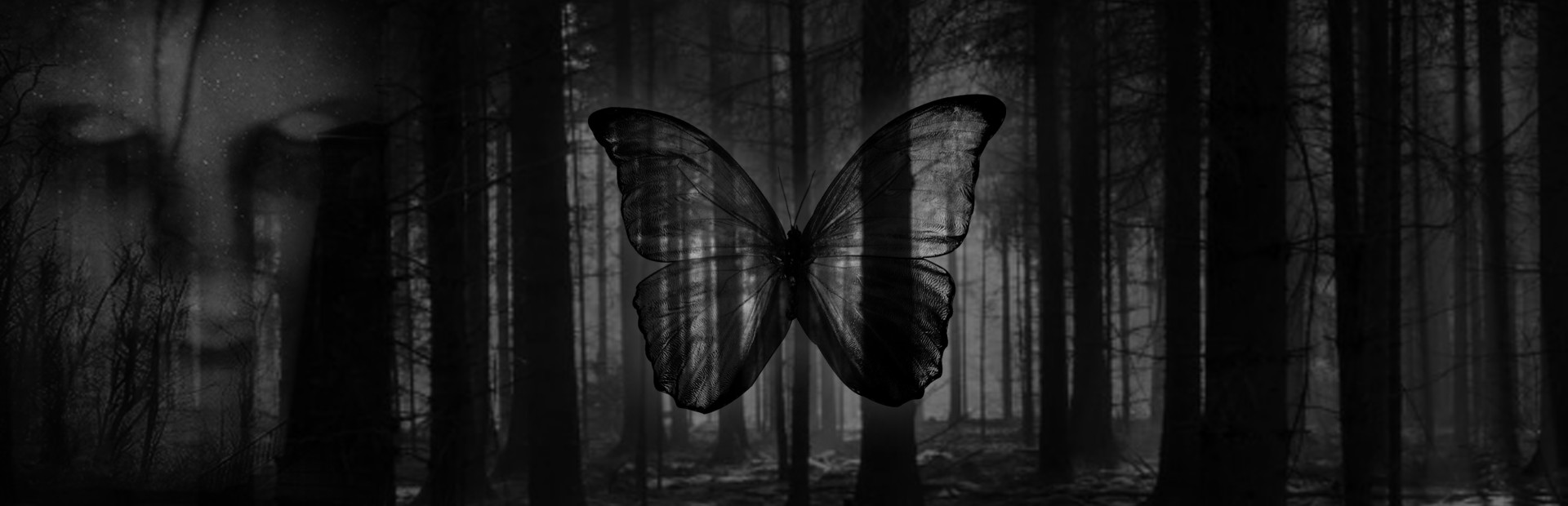 Black Butterfly cover art