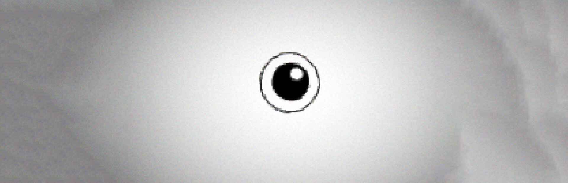 Blank cover art