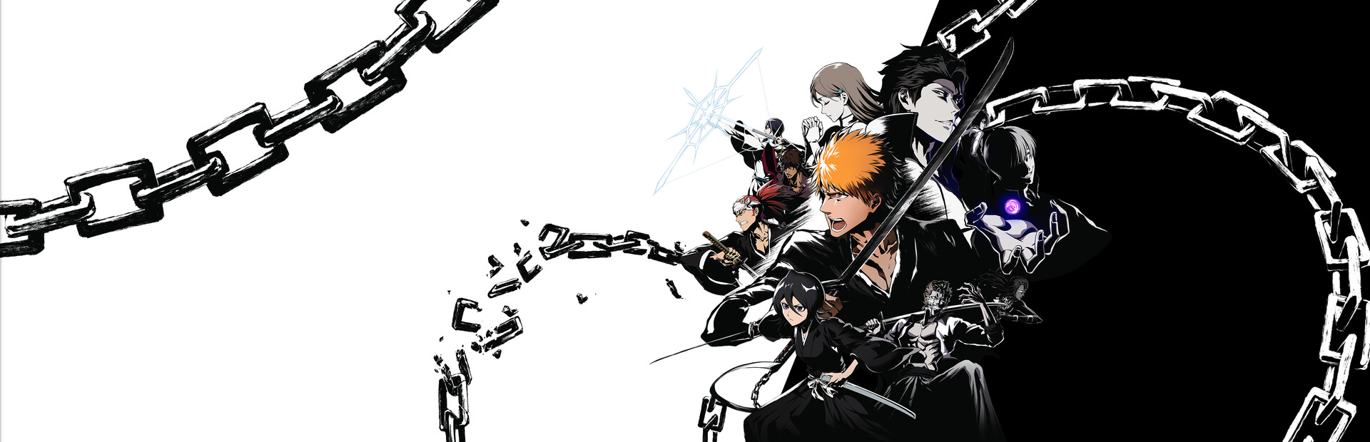 Bleach cover art