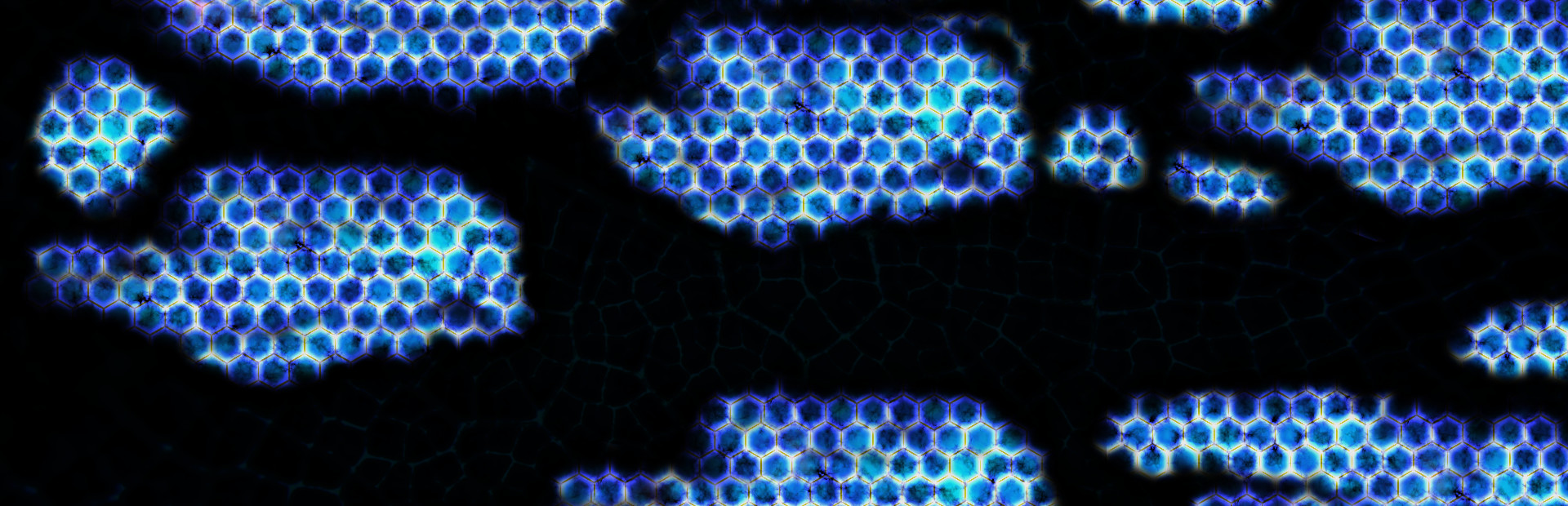 BorderStrain cover art