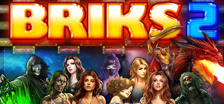 BRIKS 2 cover art