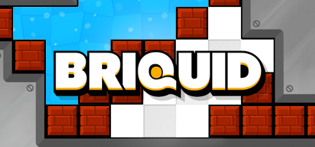 Briquid cover art