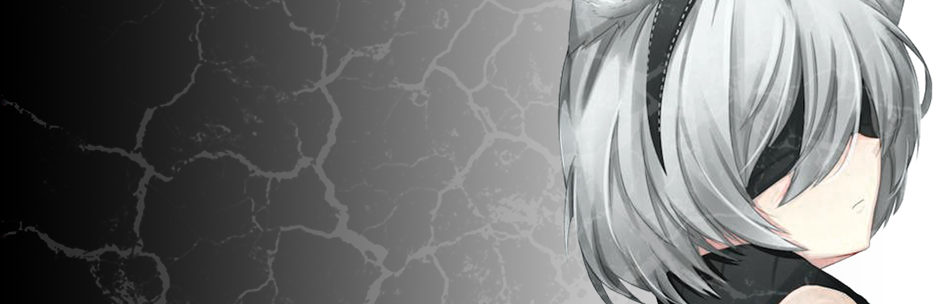 Broken Ecchi Gallery cover art