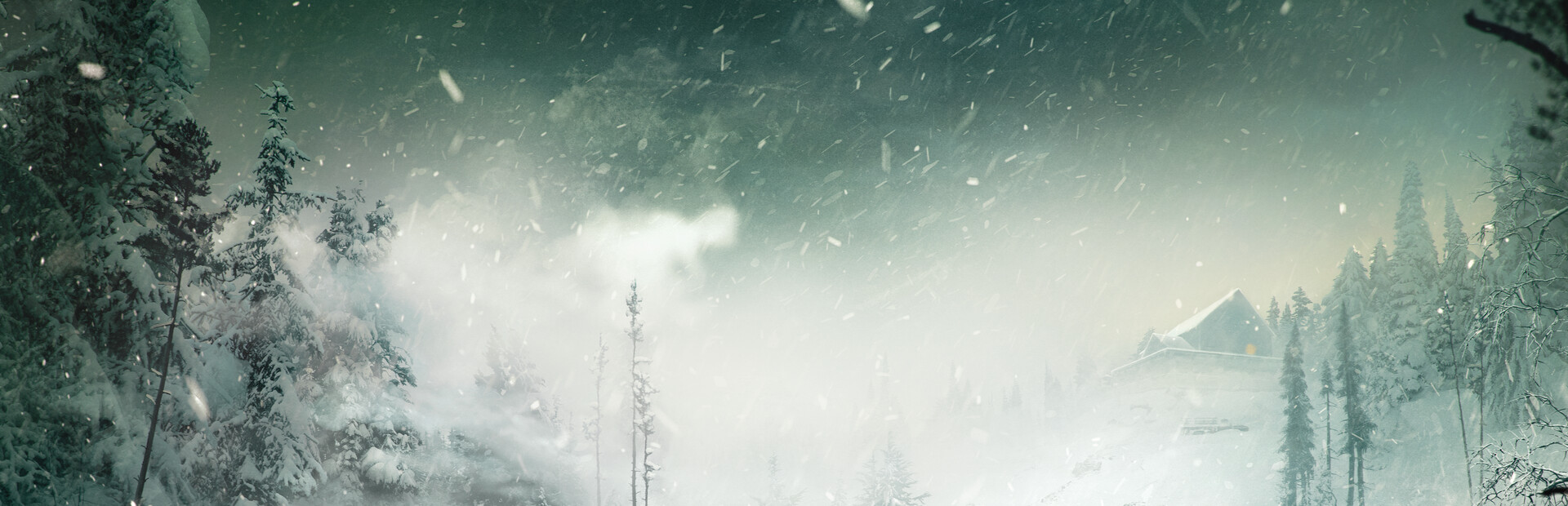 Brume cover art