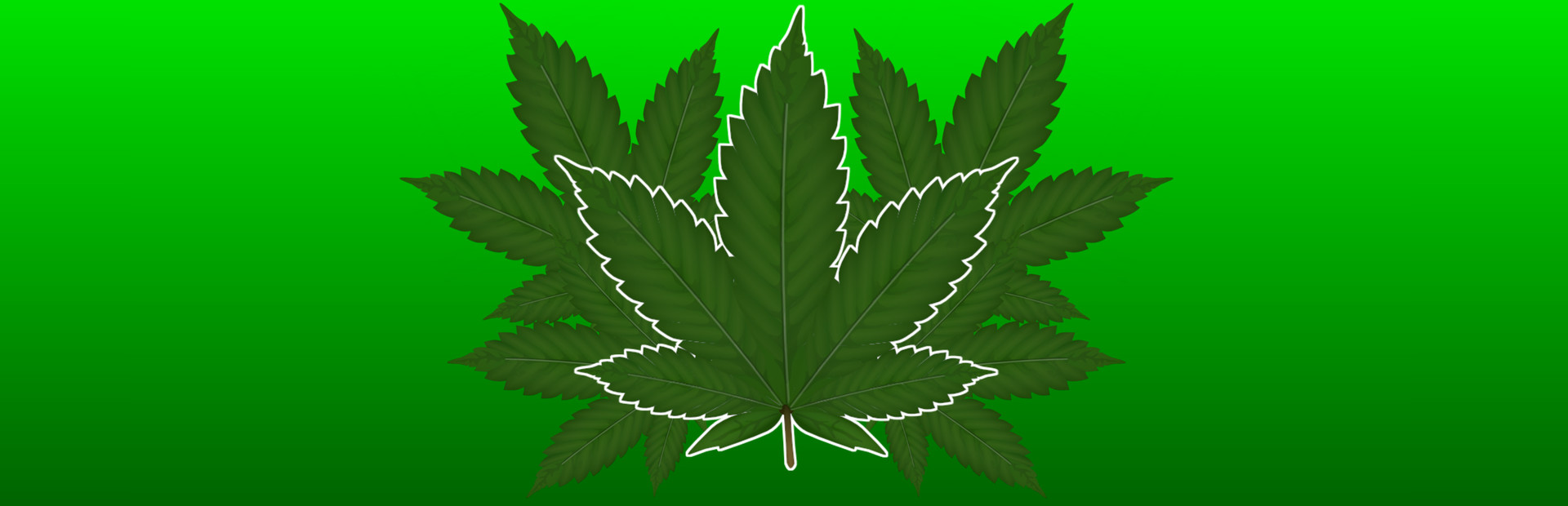Bud Blitz cover art