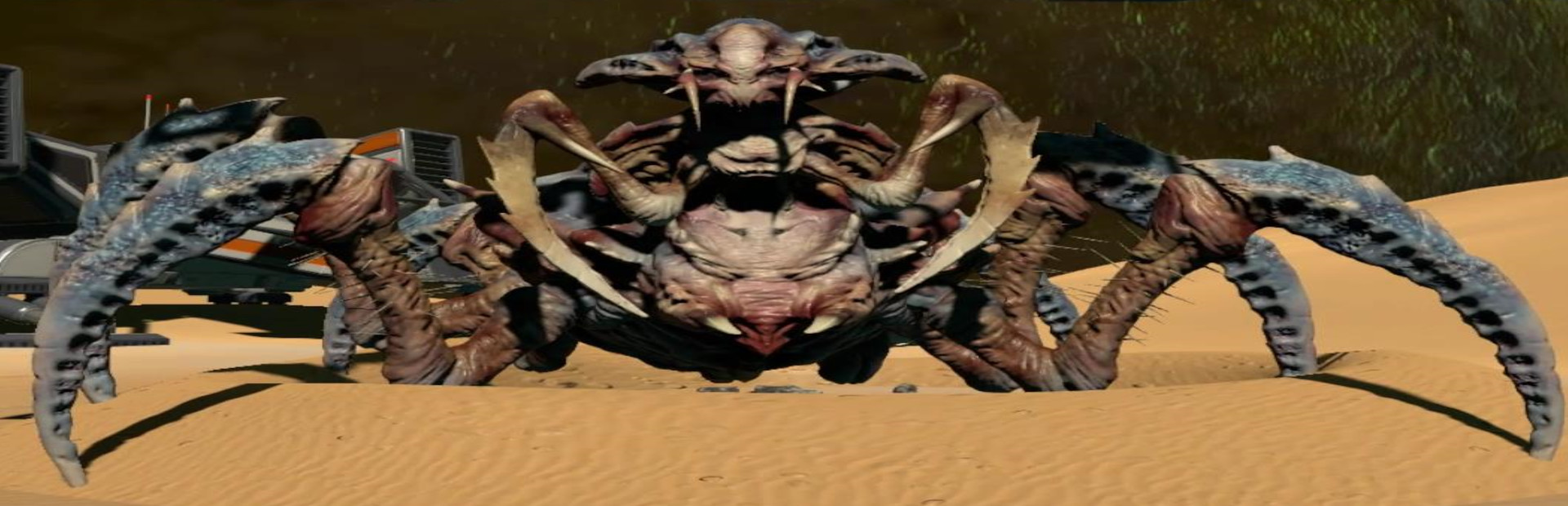 Bugs From Space cover art