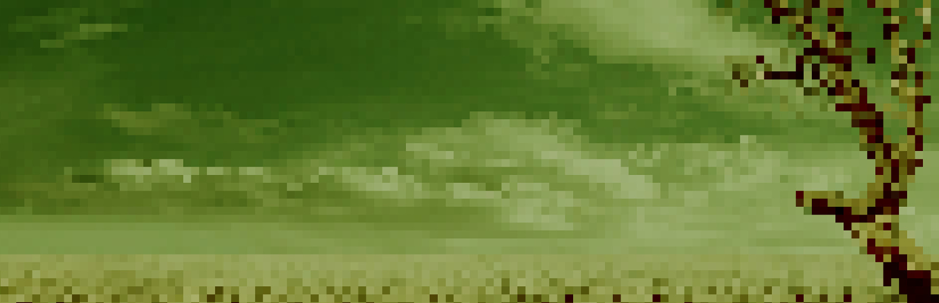 Bunker Down cover art