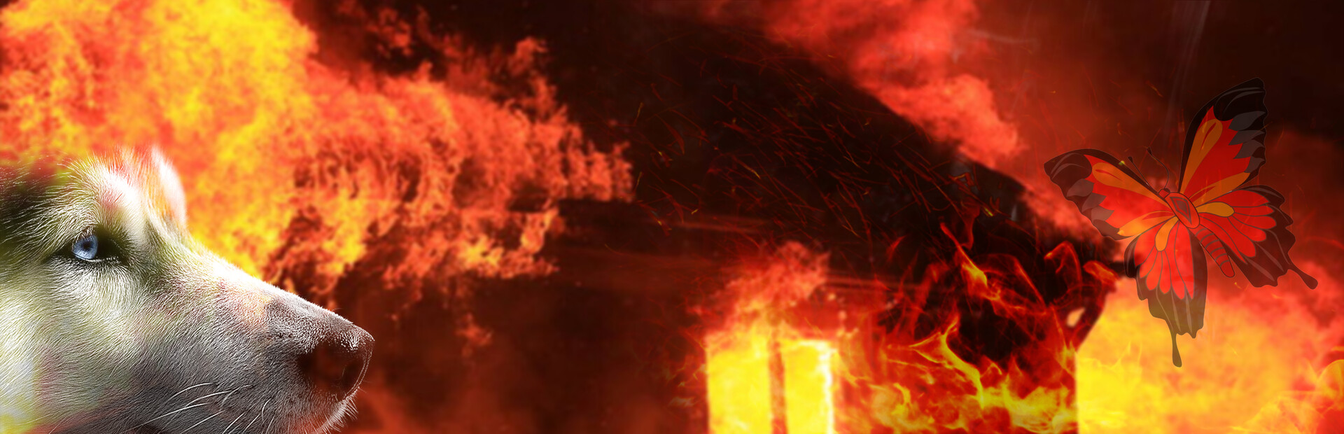 Burn Me Alive cover art