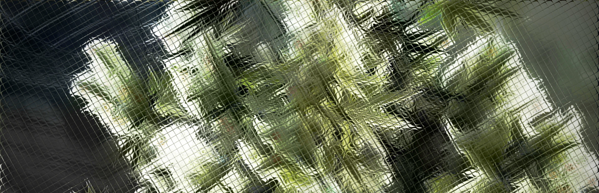 Cannabis cover art