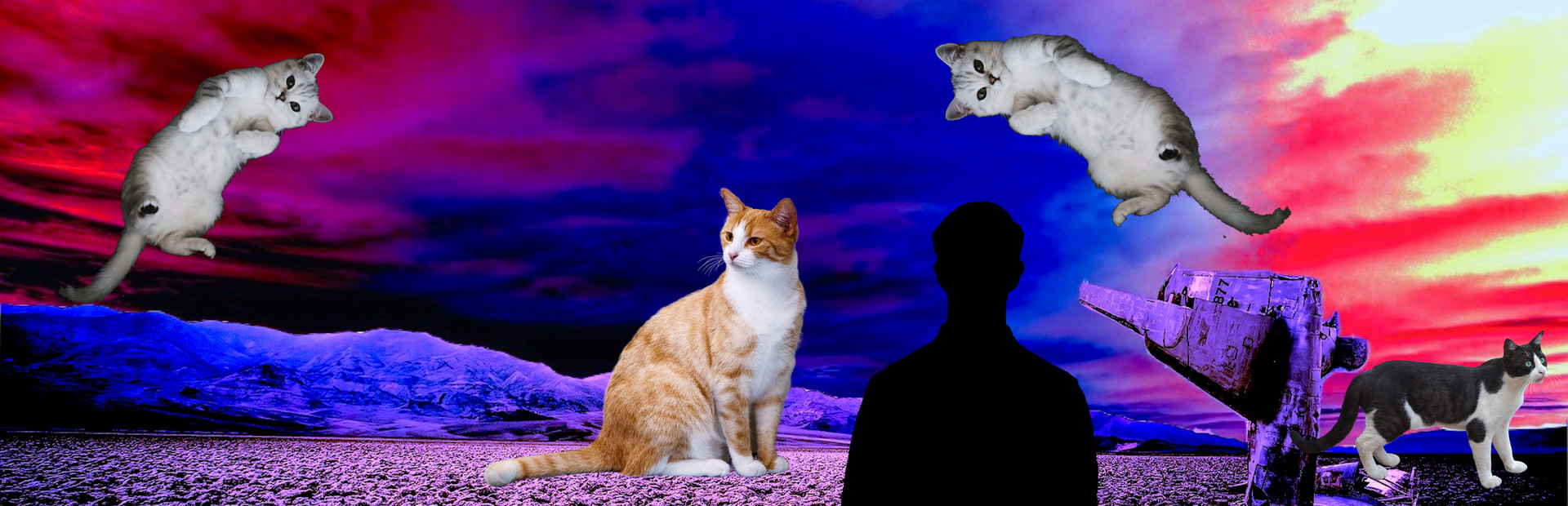 Cat Clicker cover art