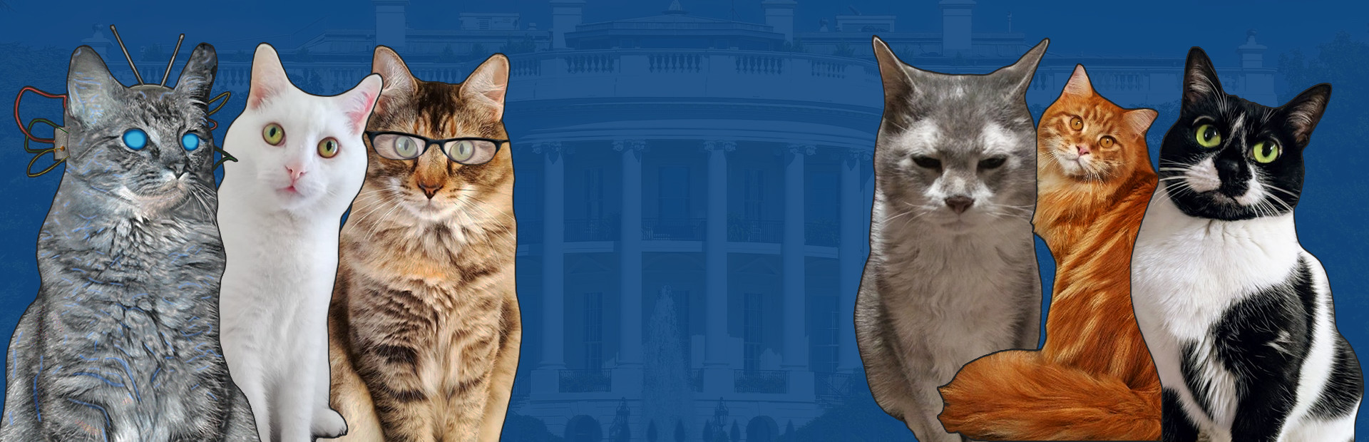 Cat President 2: Purrlitical Revolution cover art