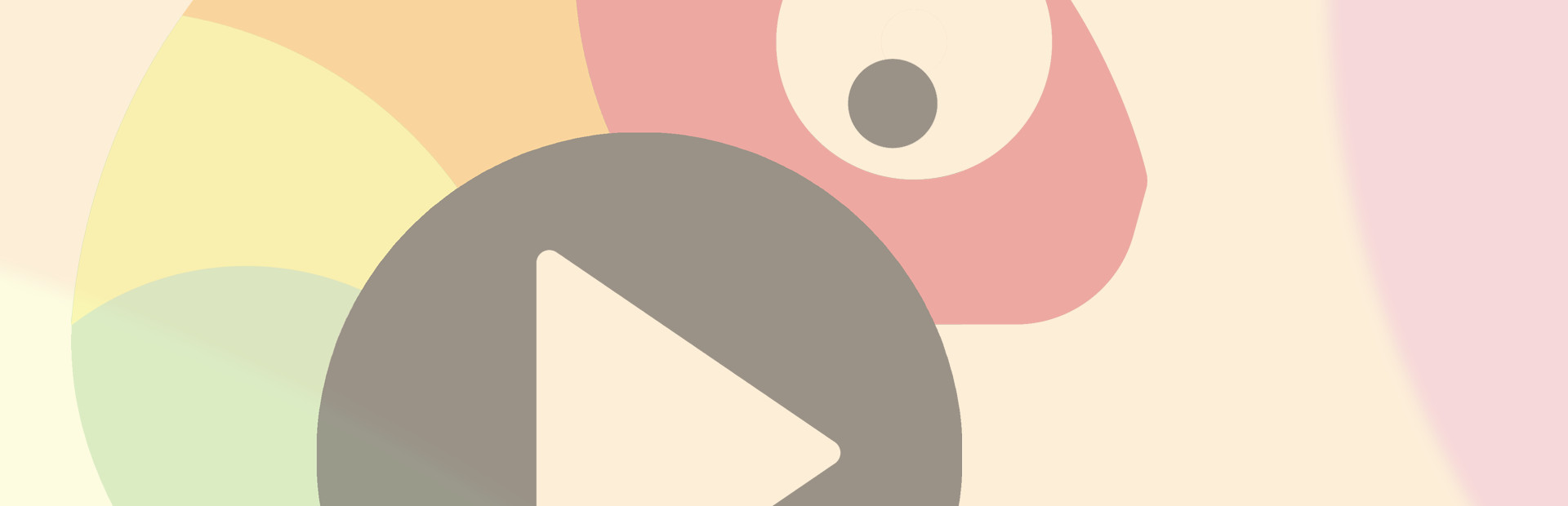 Chameleon Video Player cover art
