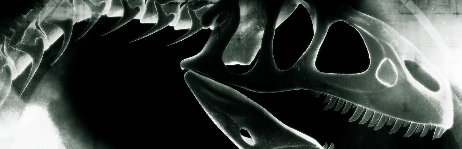 Compound Fracture cover art