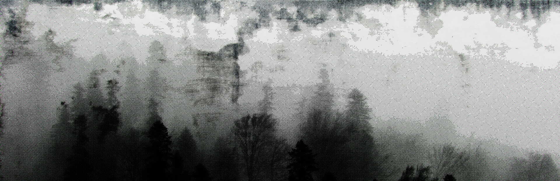 Concealment cover art