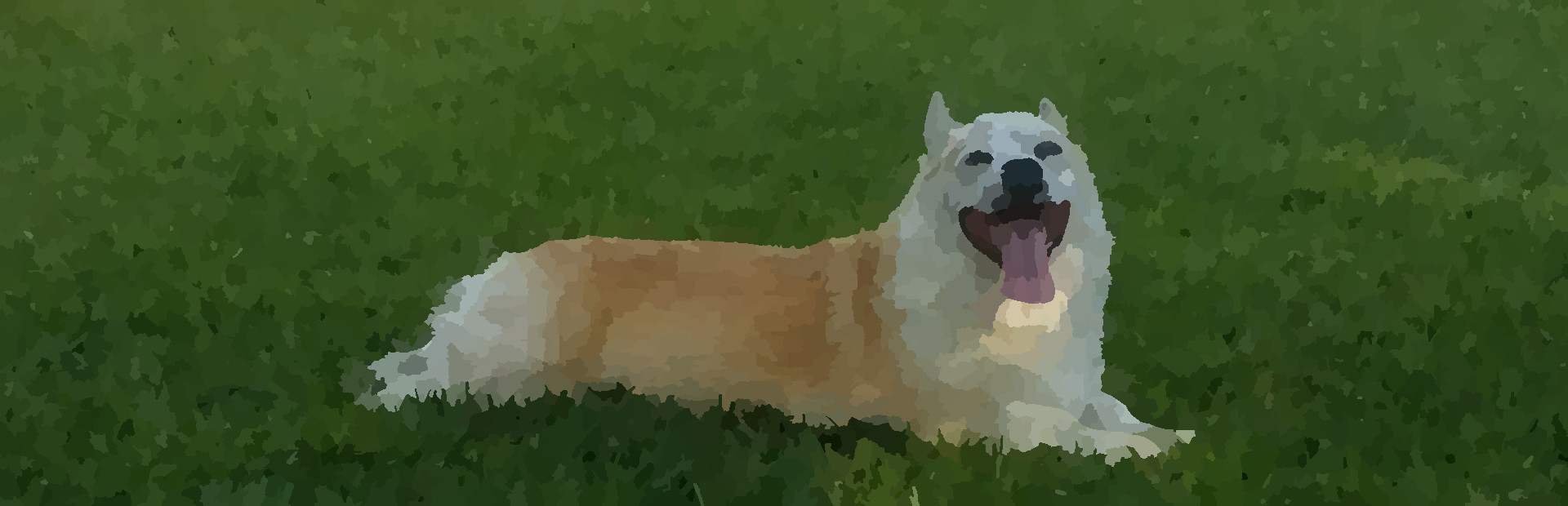 CORGIX cover art