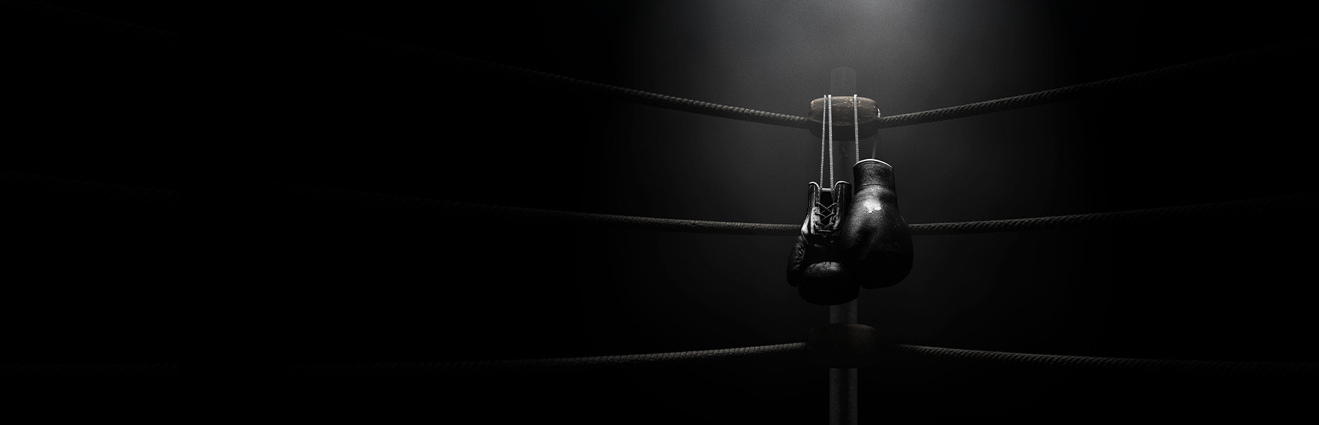 Creed: Rise to Glory™ cover art