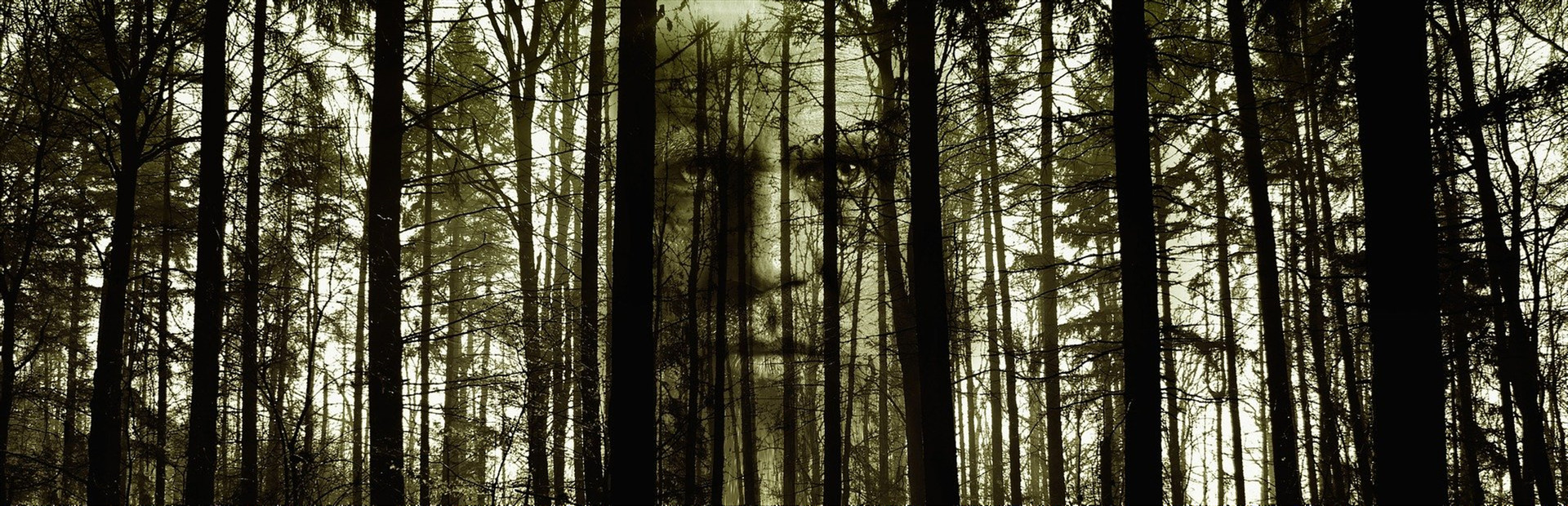 Dark Dimension cover art