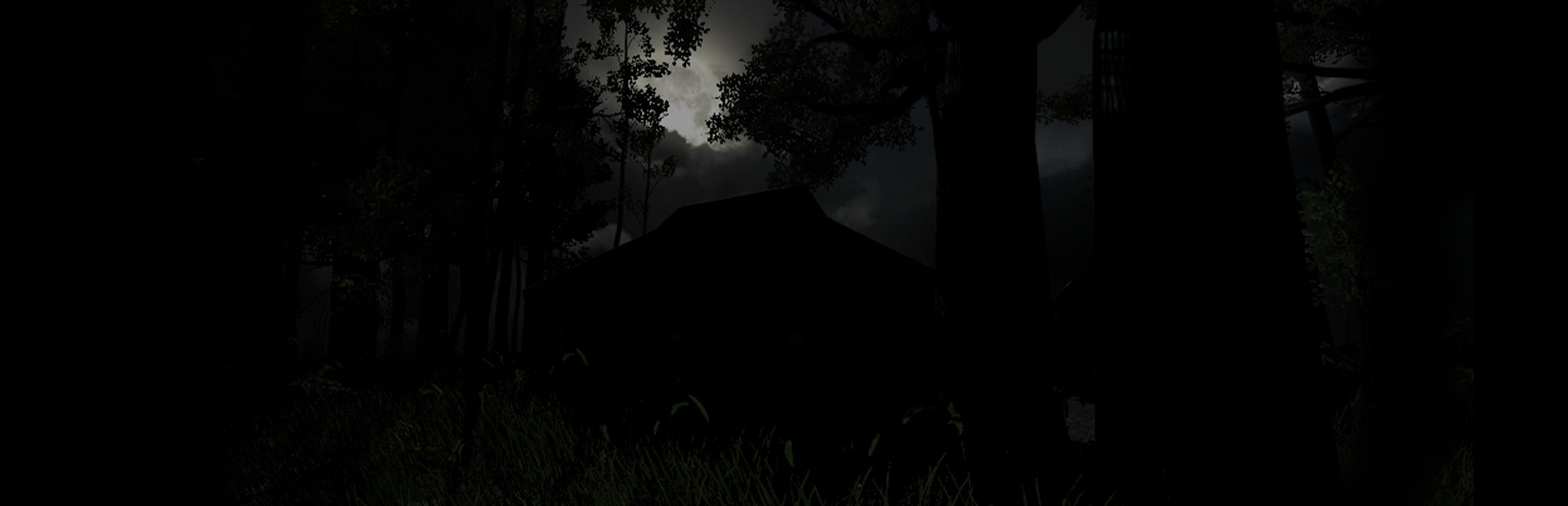 Dark Survival cover art