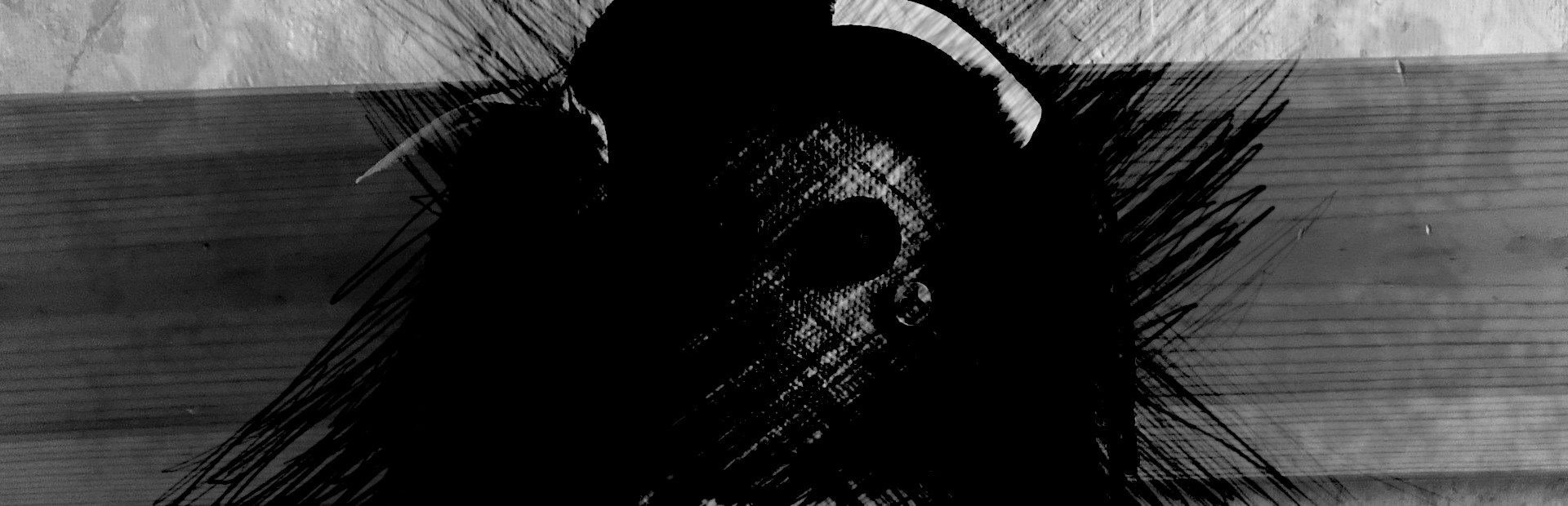 Darkness Under My Bed cover art