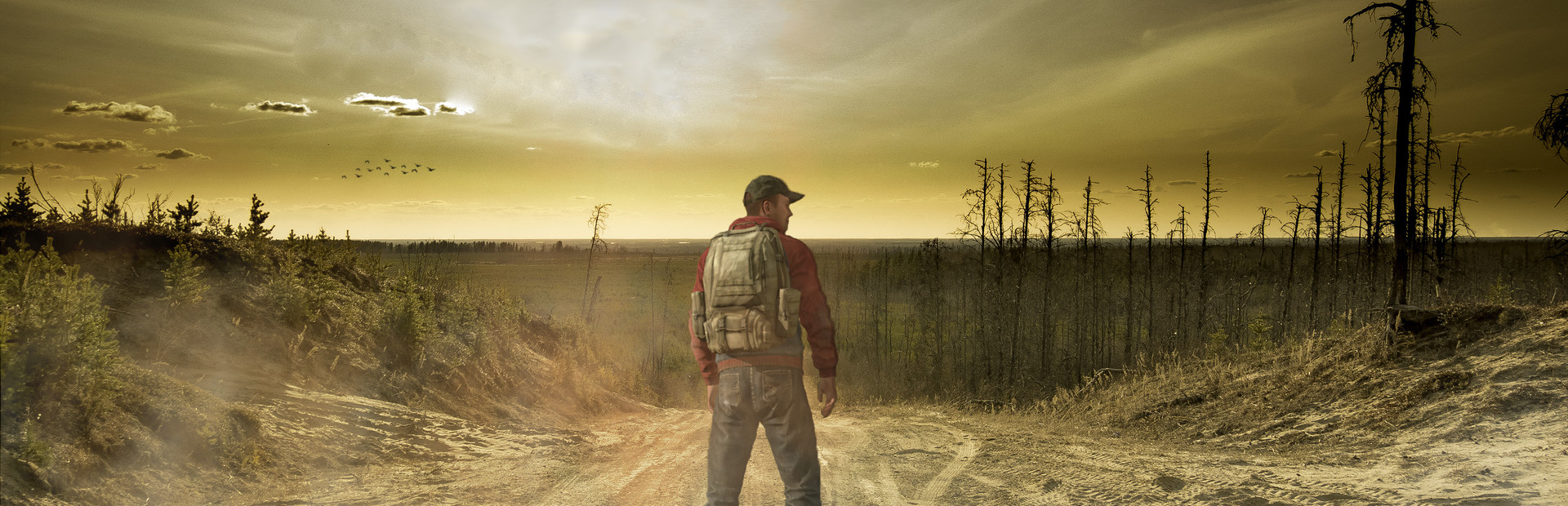 Dead Survival cover art