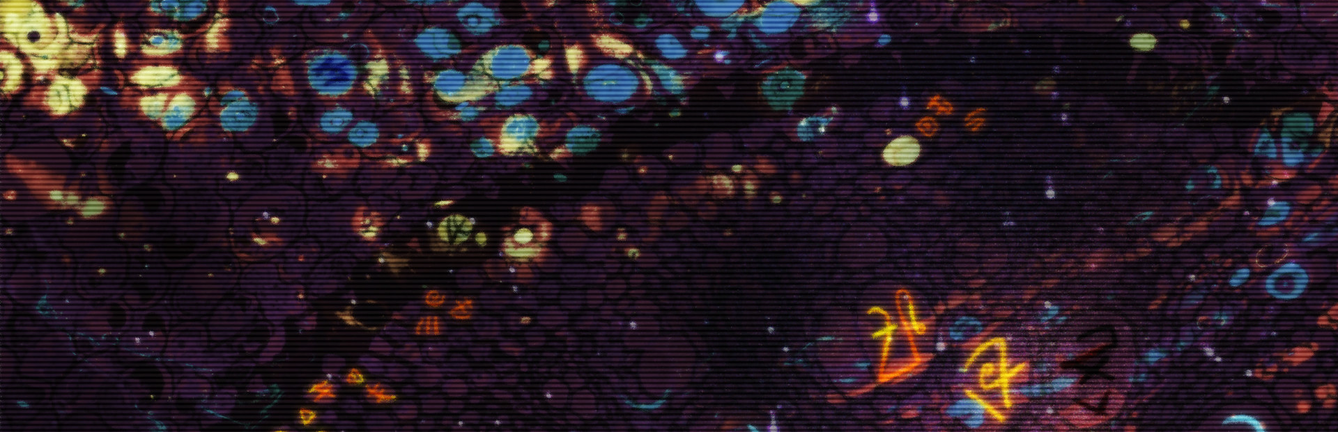 Deadnaut: Signal Lost cover art