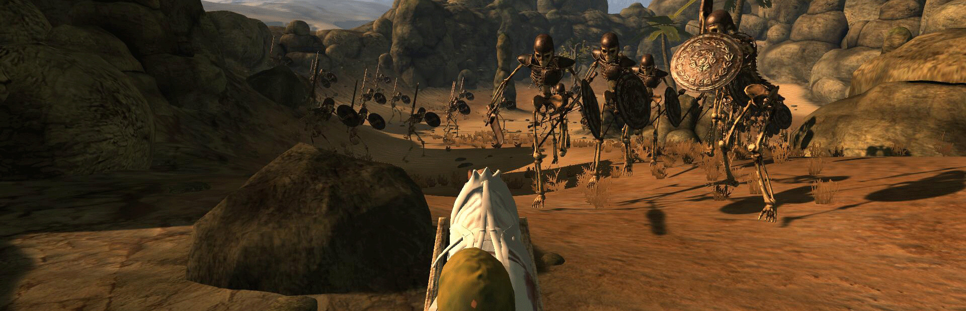 Desert coachman cover art