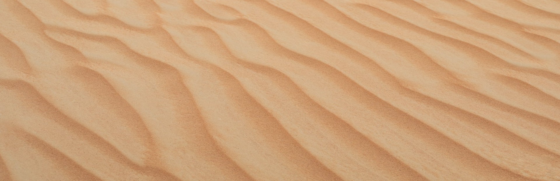 Desert Mystery cover art