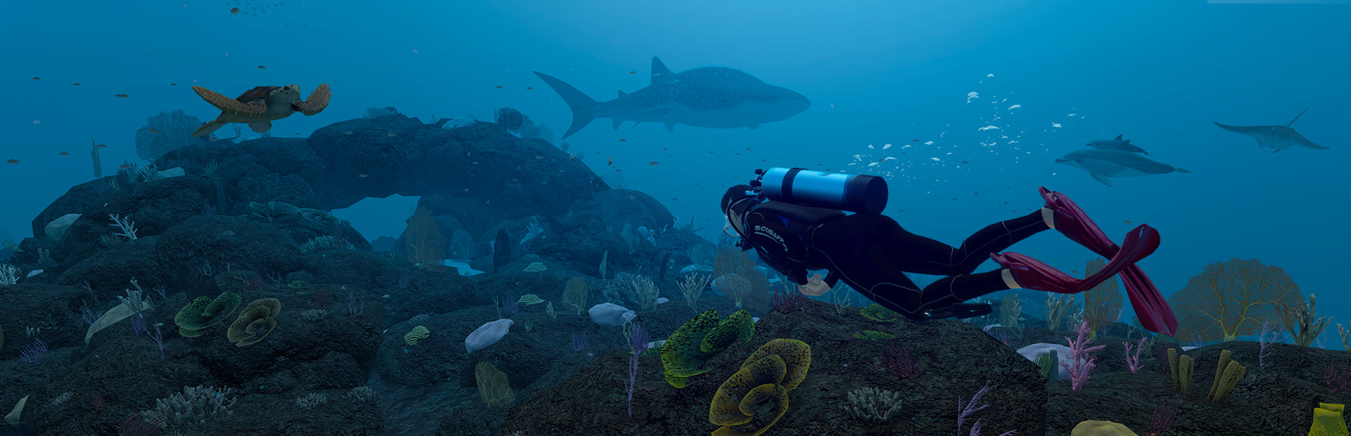 Dive with Sylvia VR cover art