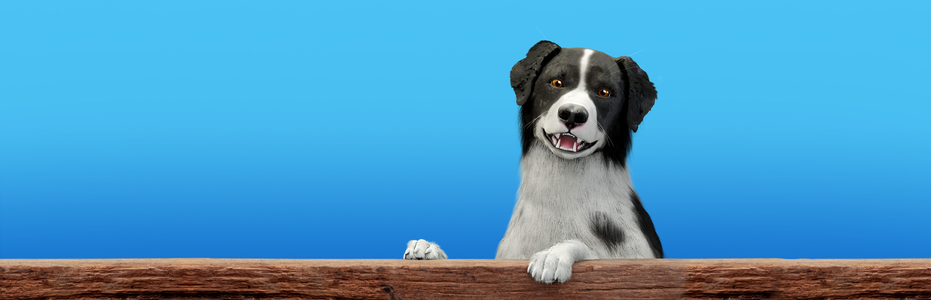 Dog Trainer cover art