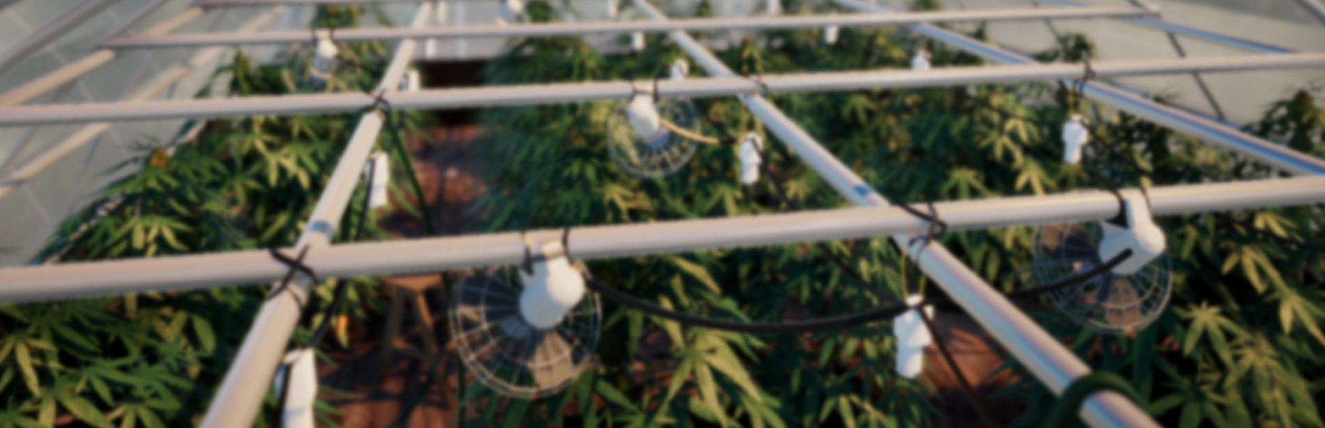 Drug Grower Simulator cover art