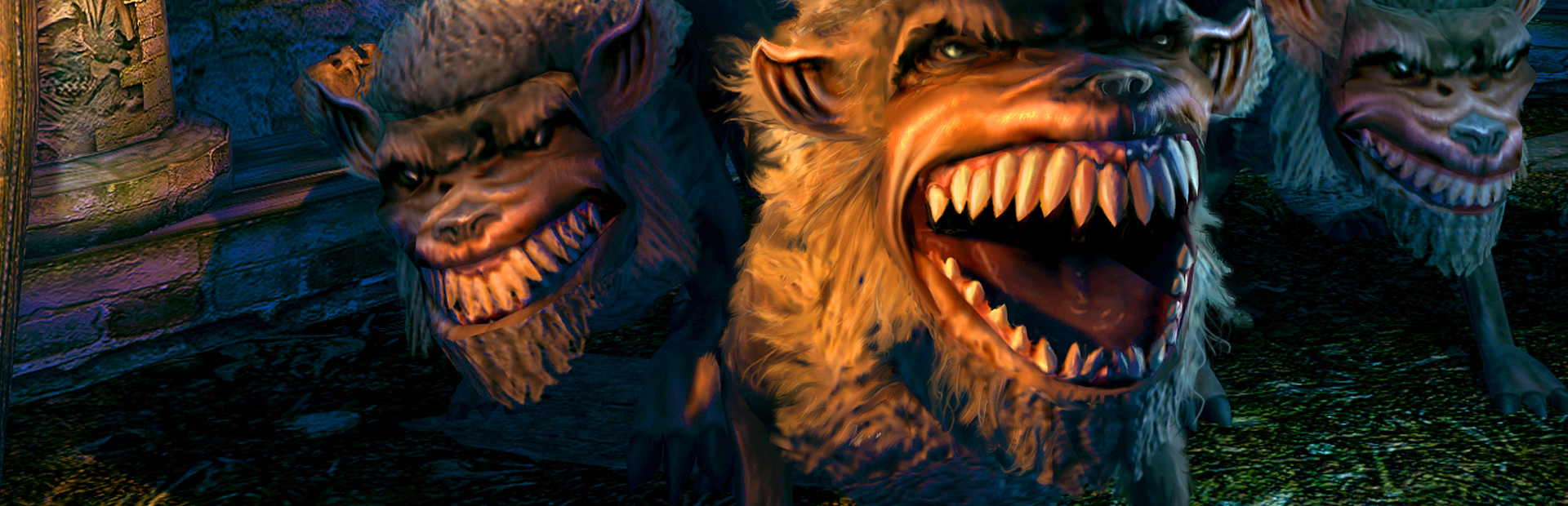 Dungeon Lords Steam Edition cover art