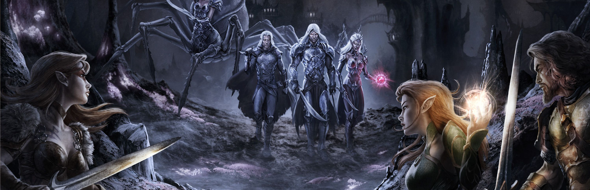 Dungeons & Dragons Online® cover art